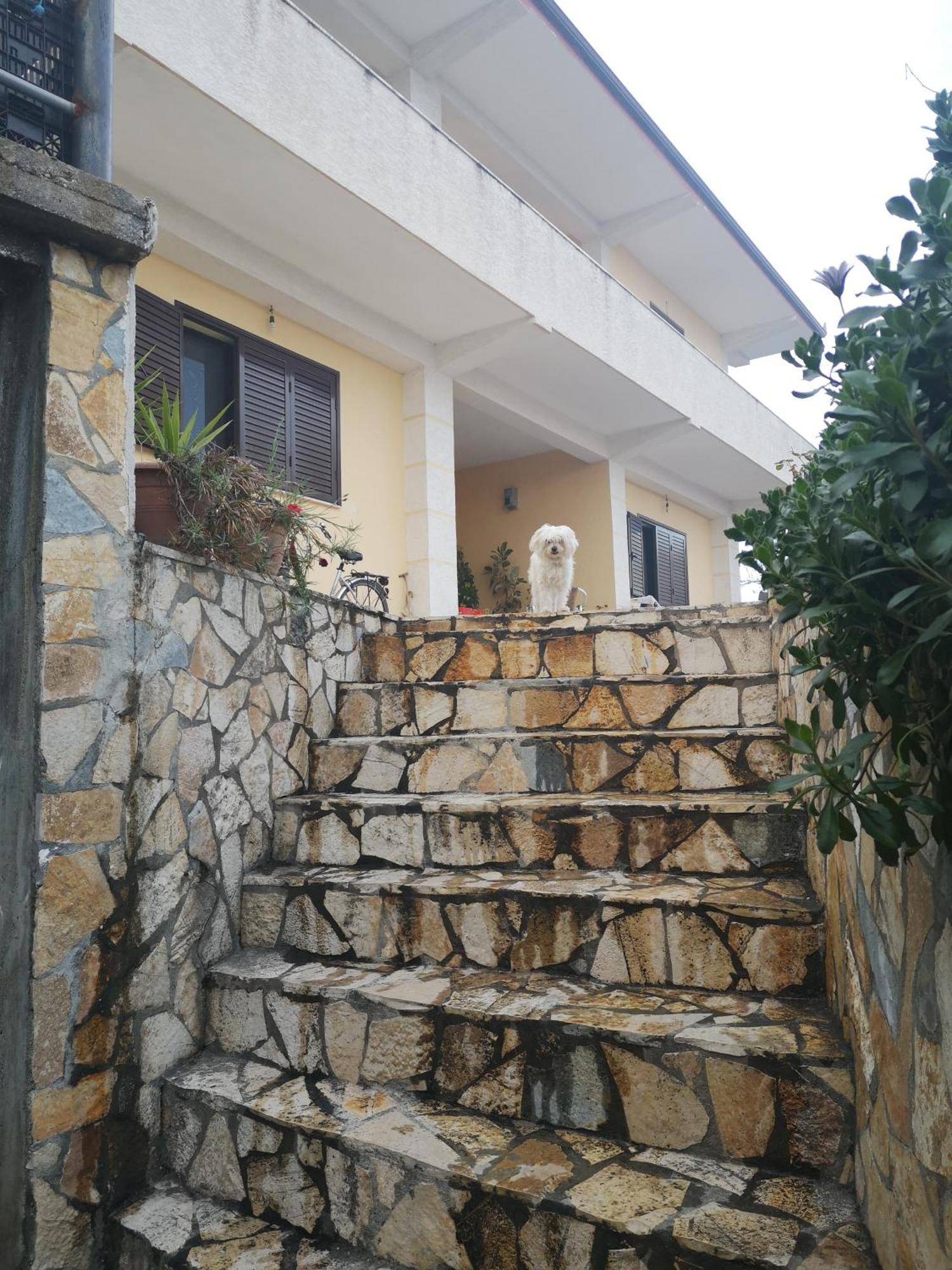 Private House Durres Villa Szoba fotó